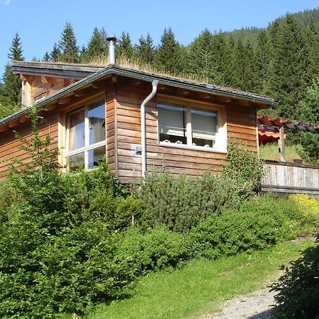 Zirbelhütte Villa Hohentauern Kültér fotó